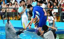 青岛海洋动物表演时间
