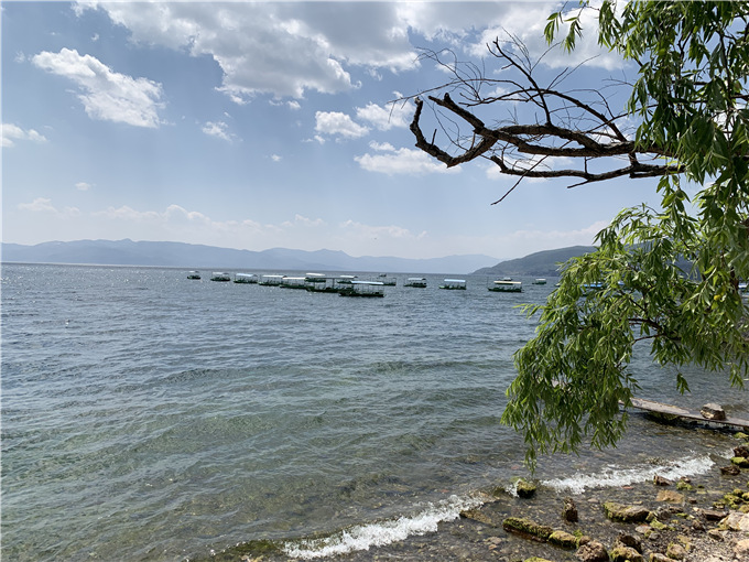 抚仙湖一日游线路及价格—抚仙湖景区图片