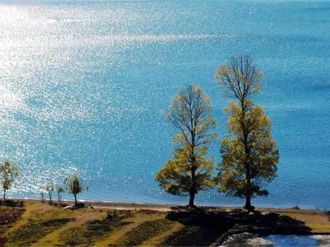 泸沽湖里格半岛附近景点情人树