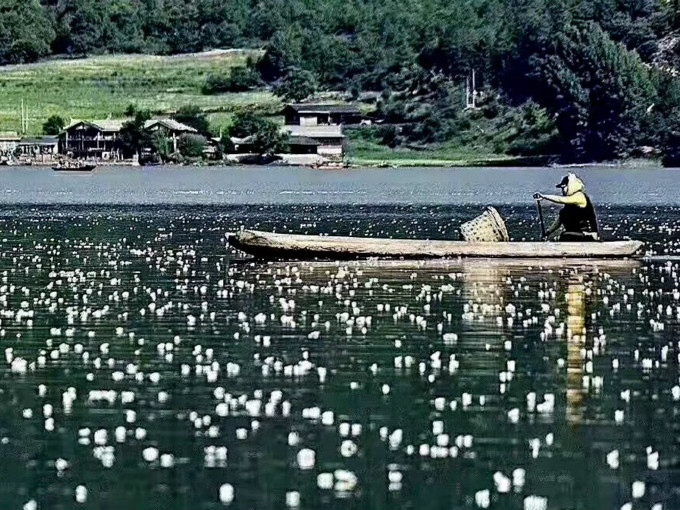 丽江泸沽湖2日游图片欣赏