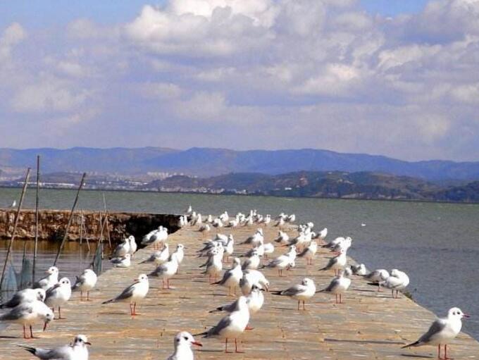 昆明大理丽江双廊香格里拉泸沽湖10日游景点欣赏