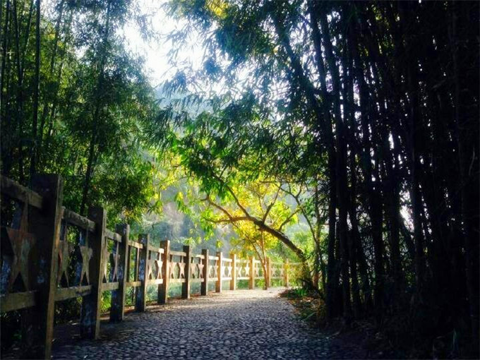 大理丽江香格里拉西双版纳傣族园10日游景点欣赏