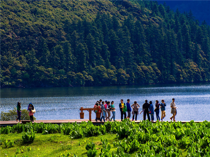 云南丽江香格里拉大理六日游景点：普达措国家公园