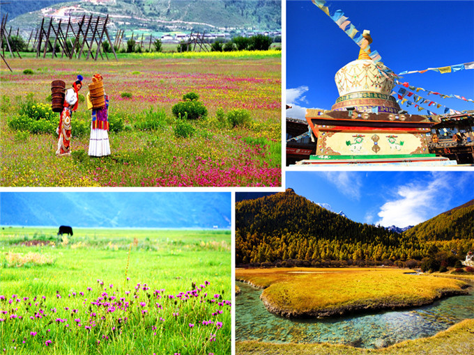 麗江香格里拉瀘沽湖大理六日游景點：普達措國家公園