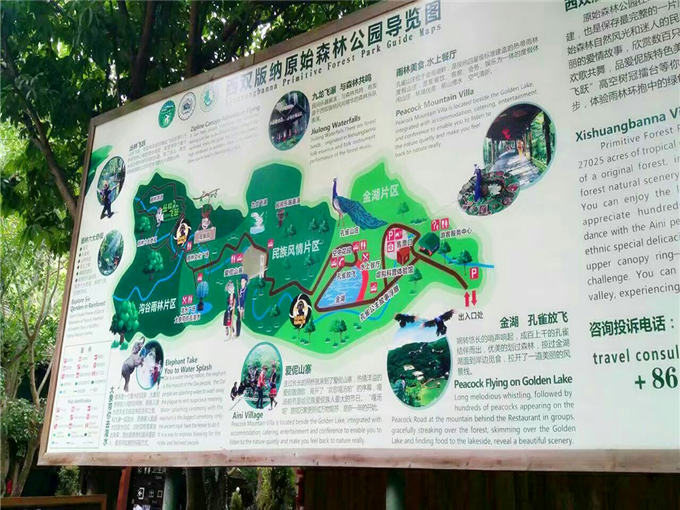 云南西双版纳原始森林旅游攻略—云南西双版纳原始森林游览图