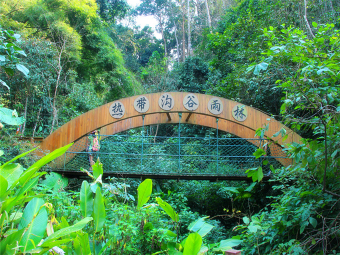 云南西双版纳原始森林旅游攻略—云南西双版纳原始森林热带沟谷