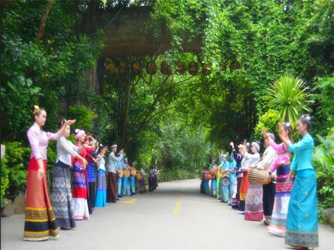 云南西双版纳原始森林旅游攻略—云南西双版纳原始森林欢迎仪式