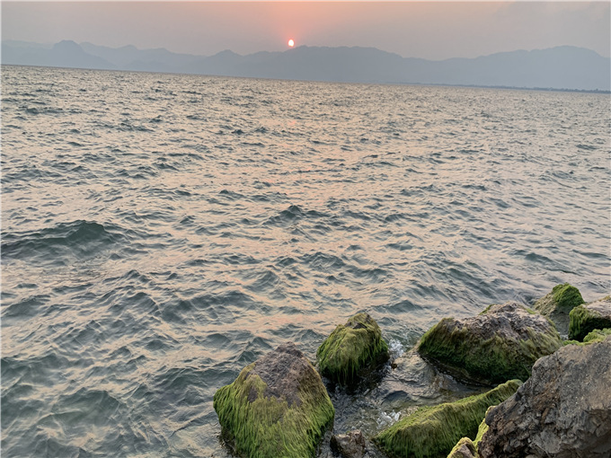 抚仙湖一日旅游攻略/路线价格—抚仙湖景区图片