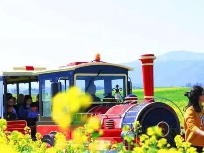 罗平县油菜花种植总体规模-罗平交通指南